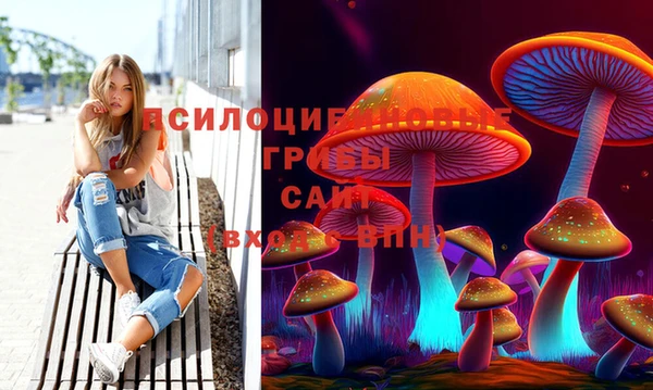 твердый Алзамай