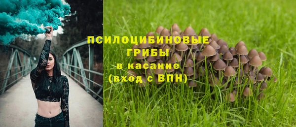 соль курить ск Армянск
